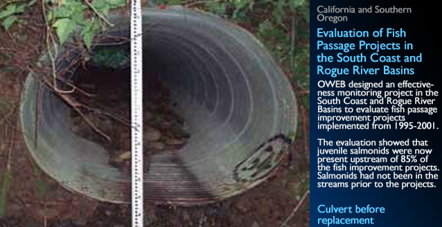 Rogue-Culvert-Before